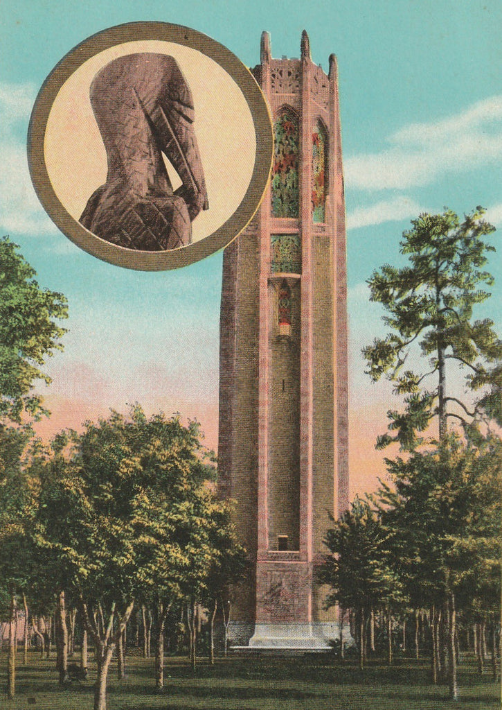 Singing Tower Lake Wales Florida Antique Postcard Close Up