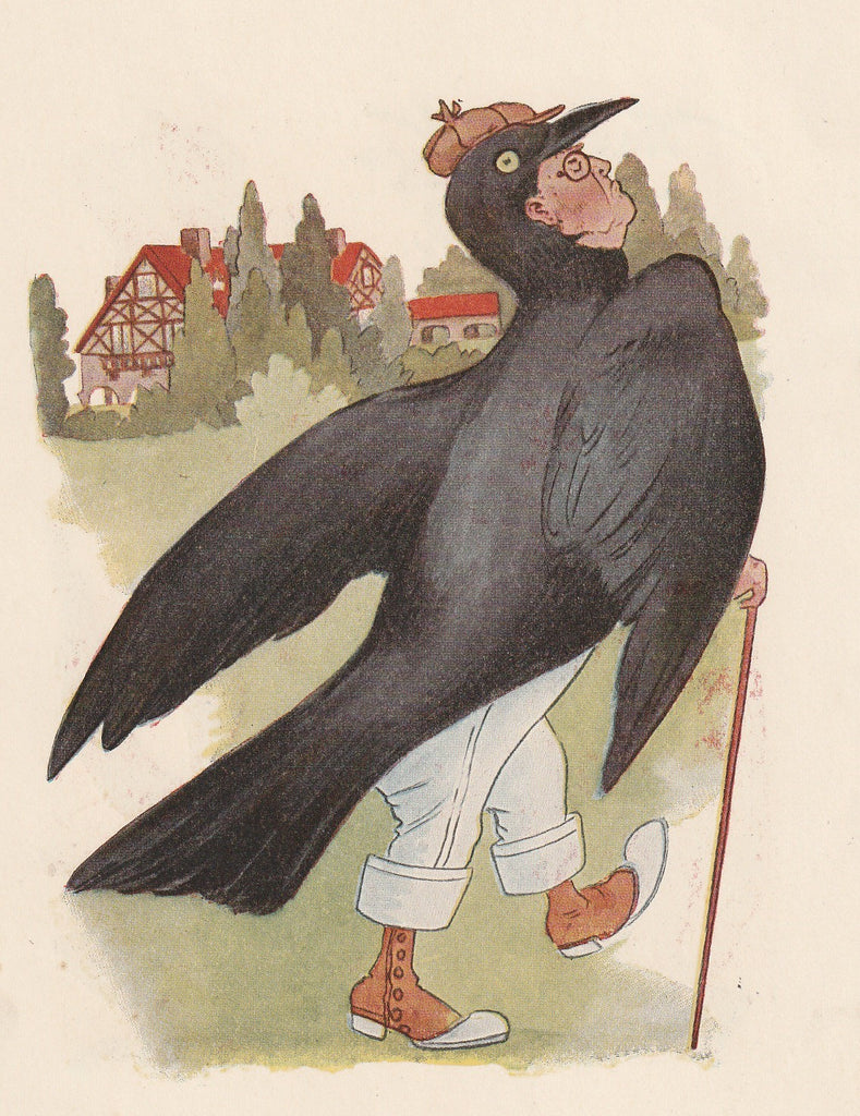 Paradise Bird - Sir Rook - Bird Children Book Page- Elizabeth Gordon - M. T. Ross- Print, c. 1912