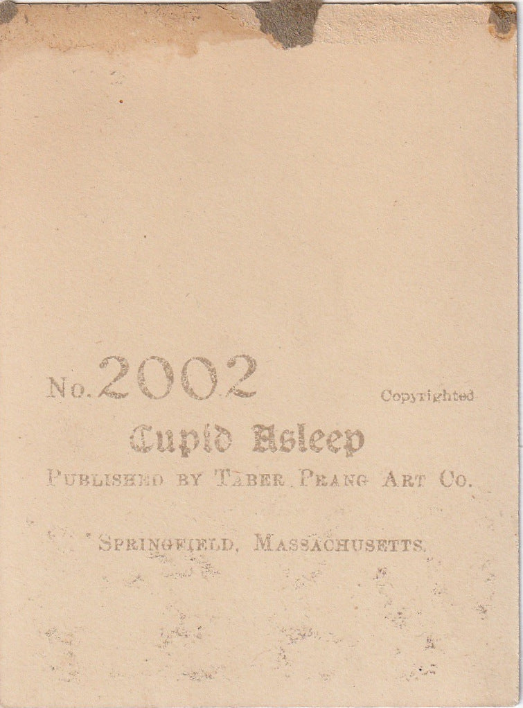 Sleeping Cupid M B Parkinson 1897 Antique Card Back