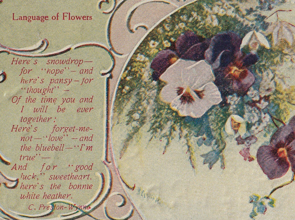 Snowdrop For Hope Language of Flowers Antique Postcard Close Up