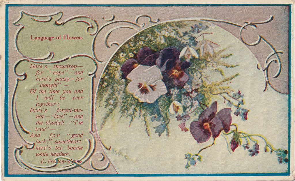 Snowdrop For Hope Language of Flowers Antique Postcard