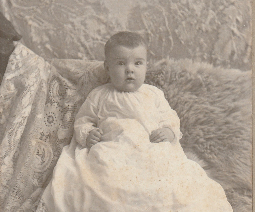 Victorian Baby Hidden Mother Cabinet Photo Close Up 2