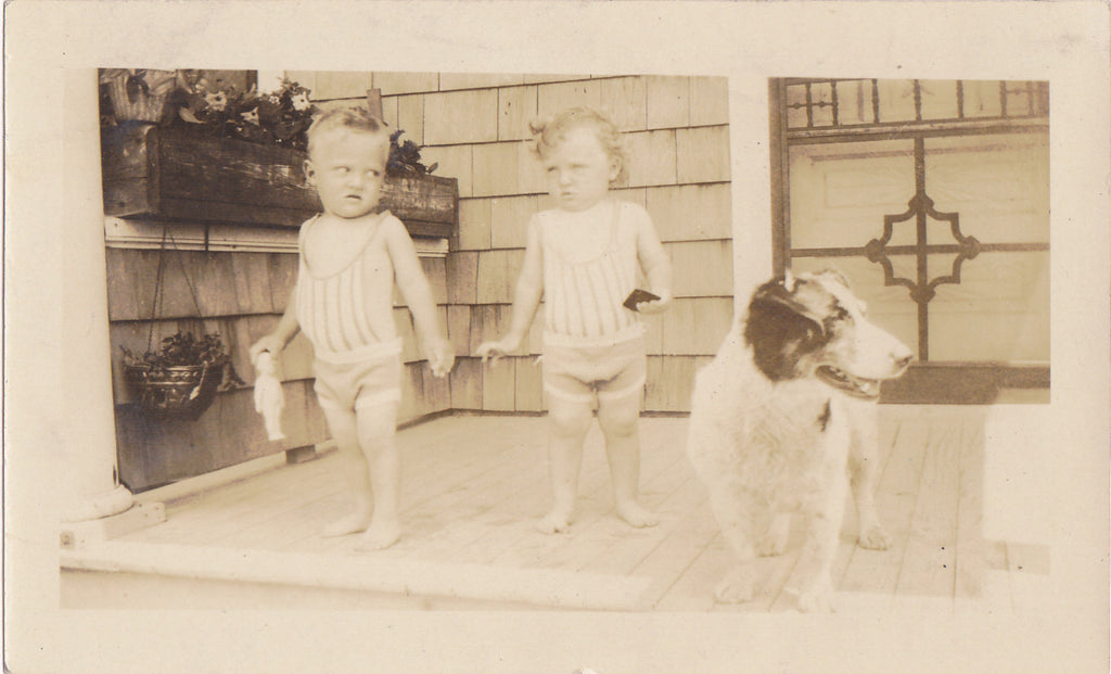 Toddle Twins and Dog Vintage Snapshot