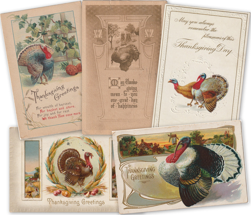 Thanksgiving Day Greetings Postcards