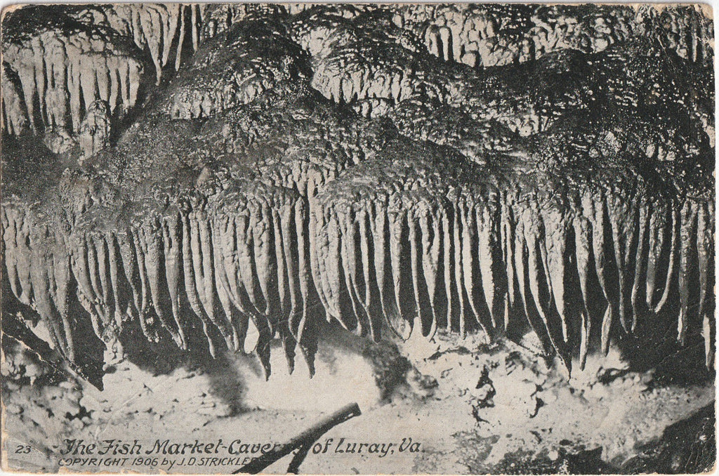The Fish Market Caverns of Luray Virginia Postcard