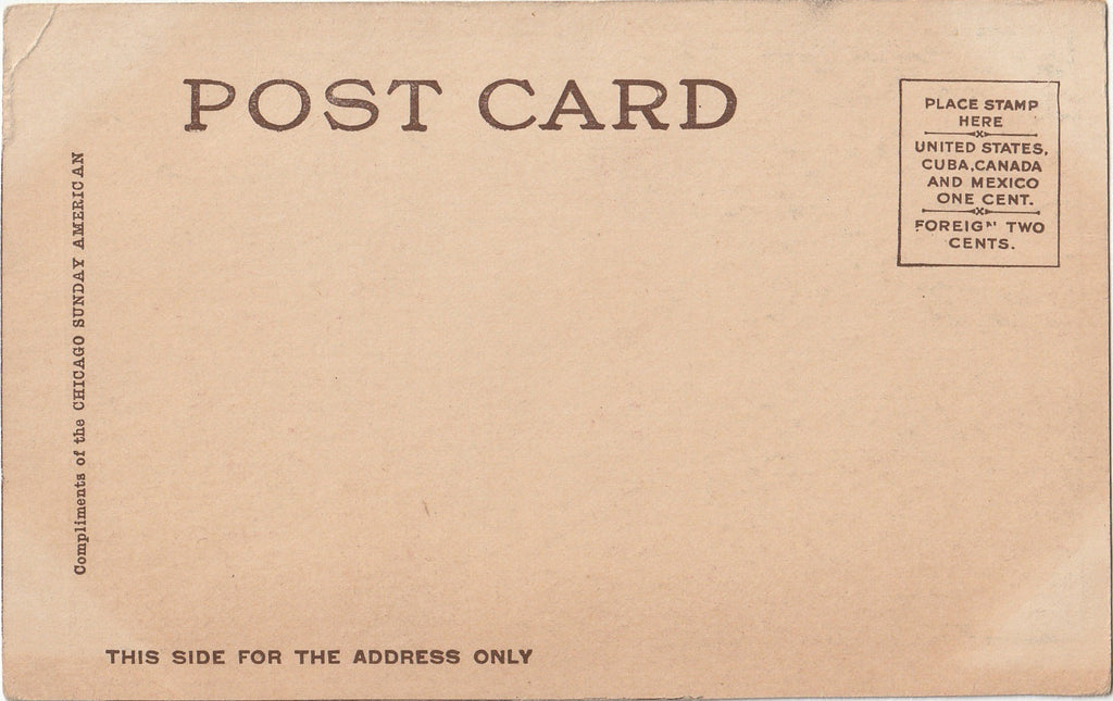 The Historian - American Journal Examiner - Postcard, c. 1906 Back