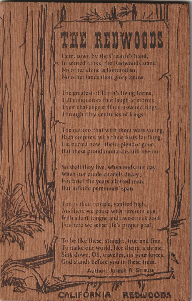 The Redwoods - Joseph B. Strauss - California Redwoods - Signs of the Times - Wooden Postcard, c. 1950s