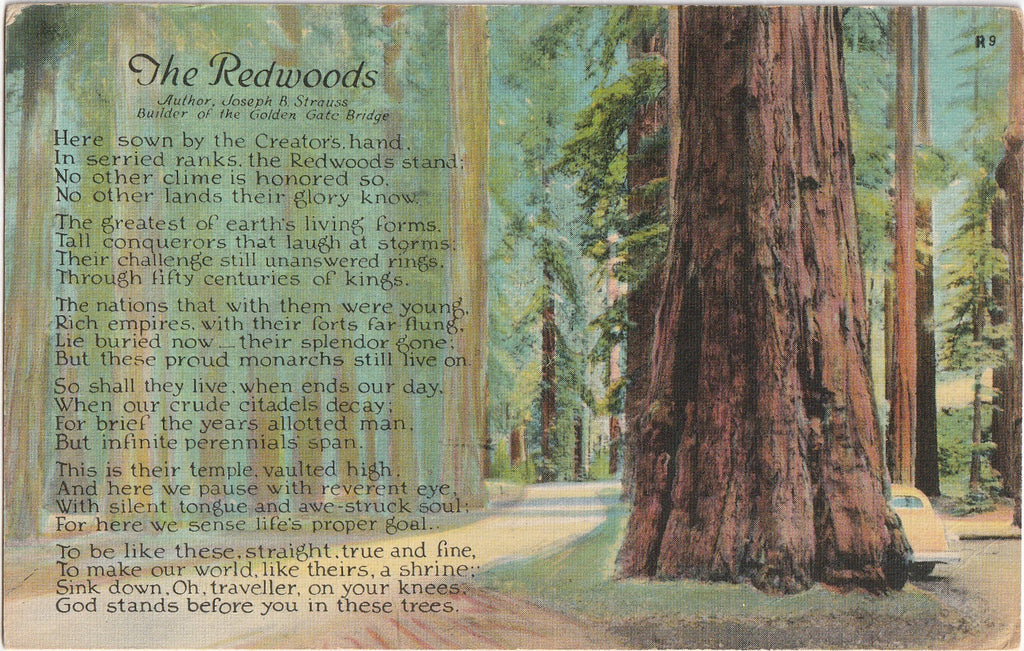 The Redwoods - Joseph B. Strauss Poem - Postcard, c. 1940s