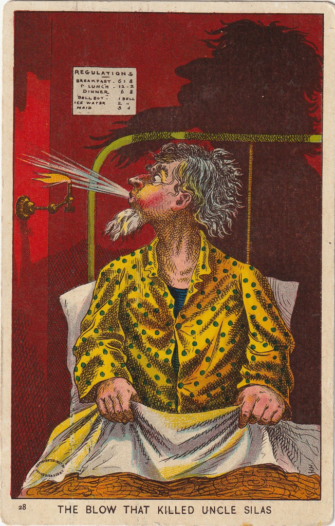 The Blow That Killed Uncle Silas Postcard