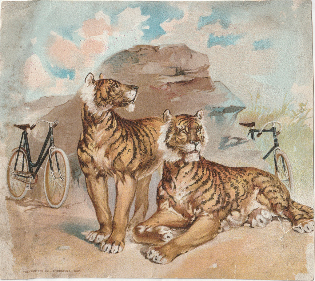 Tigers and Bicycles - The Winters Co. - Springfield, OH - Trade Card, c. 1800s