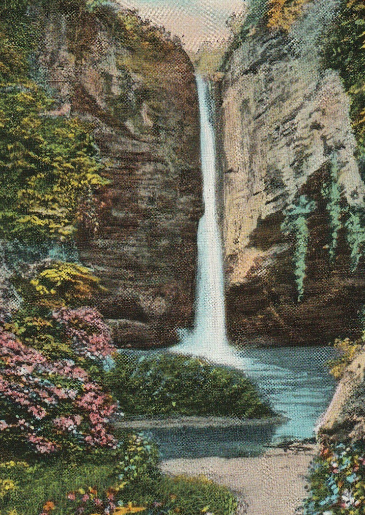 Tonti Canyon Starved Rock State Park Vintage Postcard Close Up 2