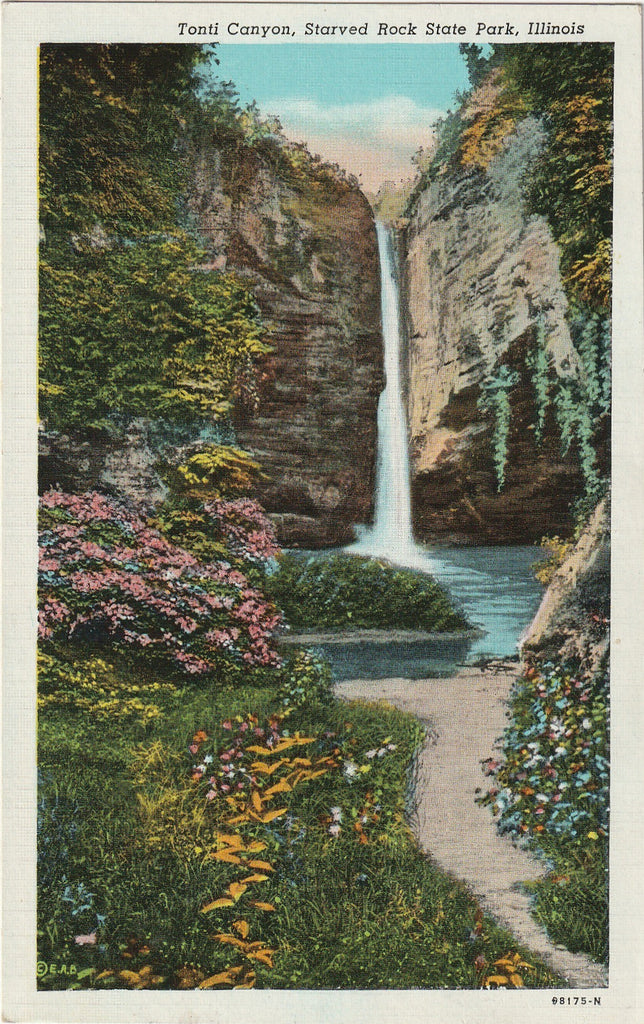 Tonti Canyon Starved Rock State Park Vintage Postcard