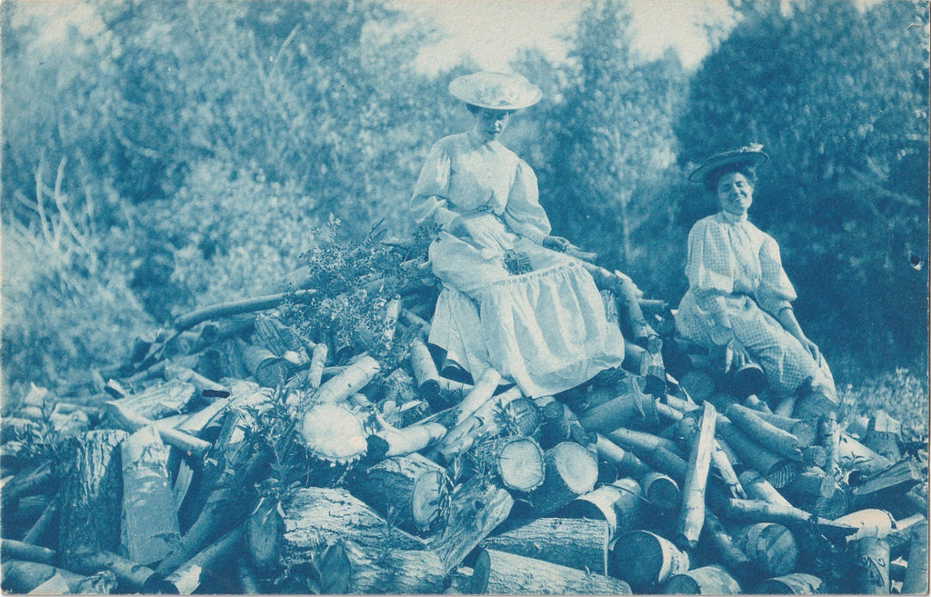 Top of the Wood Pile Cyanotype RPPC Antique Photo