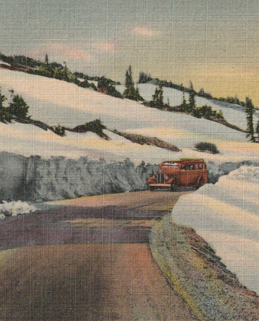 Trail Ridge Road Rocky Mountain National Park Vintage Postcard Close Up 2