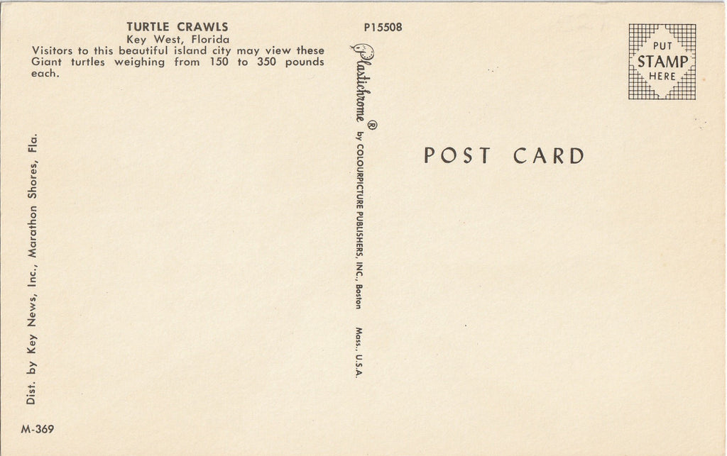 Turtle Crawls - Key West, Florida - Plastichrome Postcard, c. 1960s Back