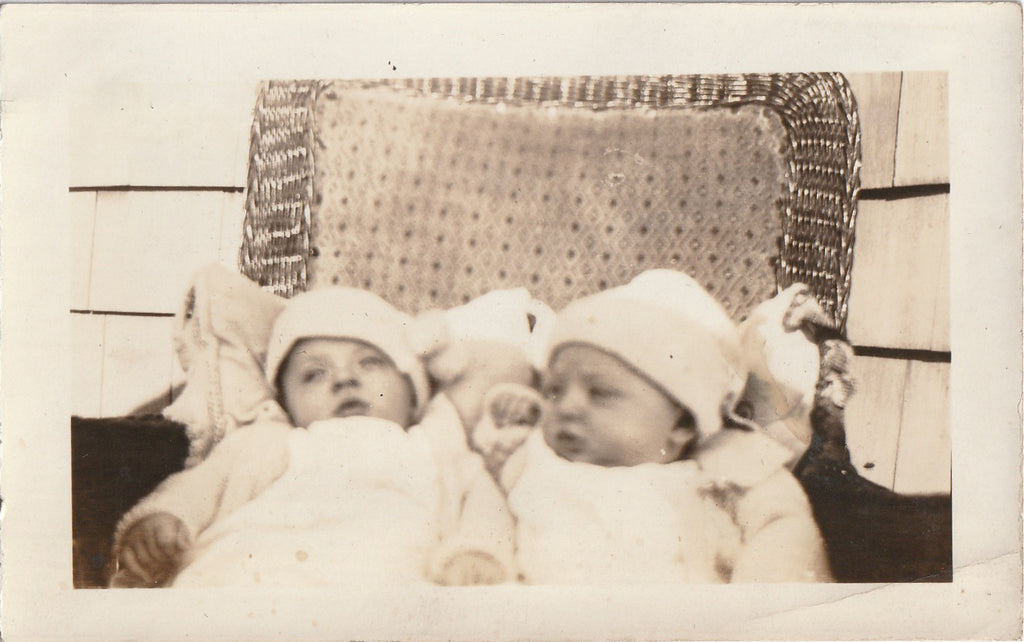 Twin Brothers Vintage Snapshots 1920s 5