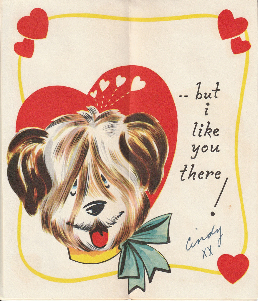 Valentine You Get in My Hair Sheepdog Card Inside
