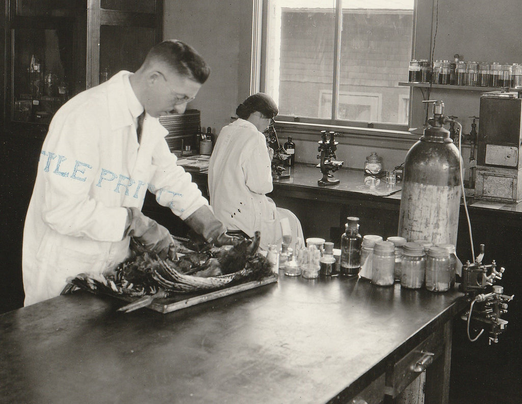 Veterinary Medicine Laboratory - H. C. Kernkamp - Photo, c. 1923 Close Up