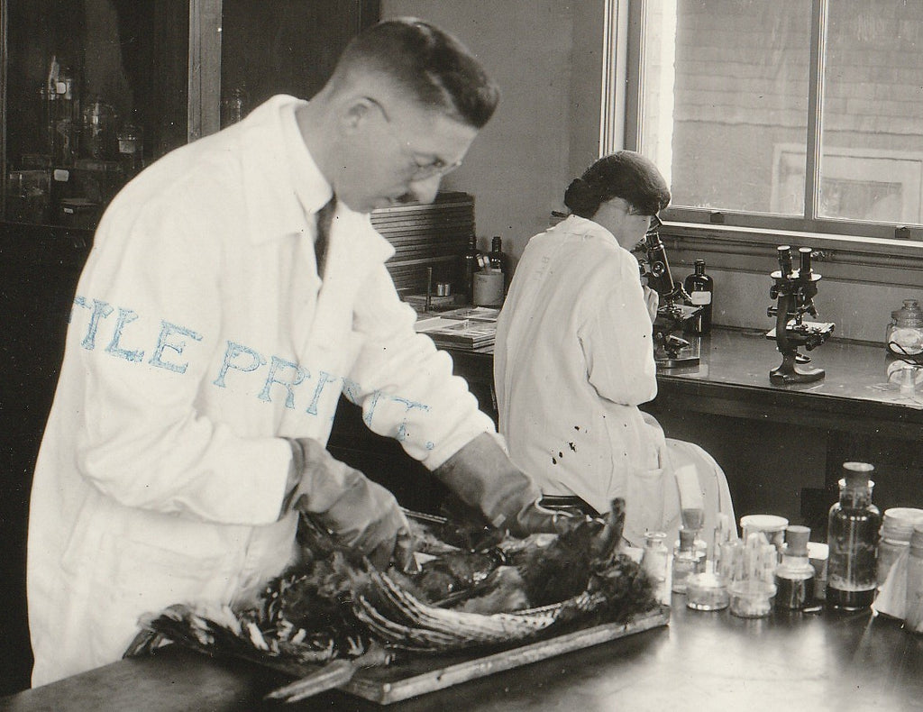 Veterinary Medicine Laboratory - H. C. Kernkamp - Photo, c. 1923 Close Up 2