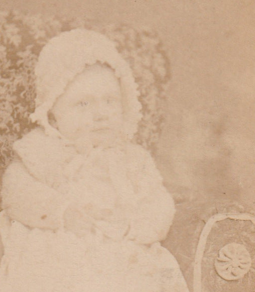 Victorian Ghost Cat - Creepy Baby - Hidden Mother - CDV Photo, c. 1800s