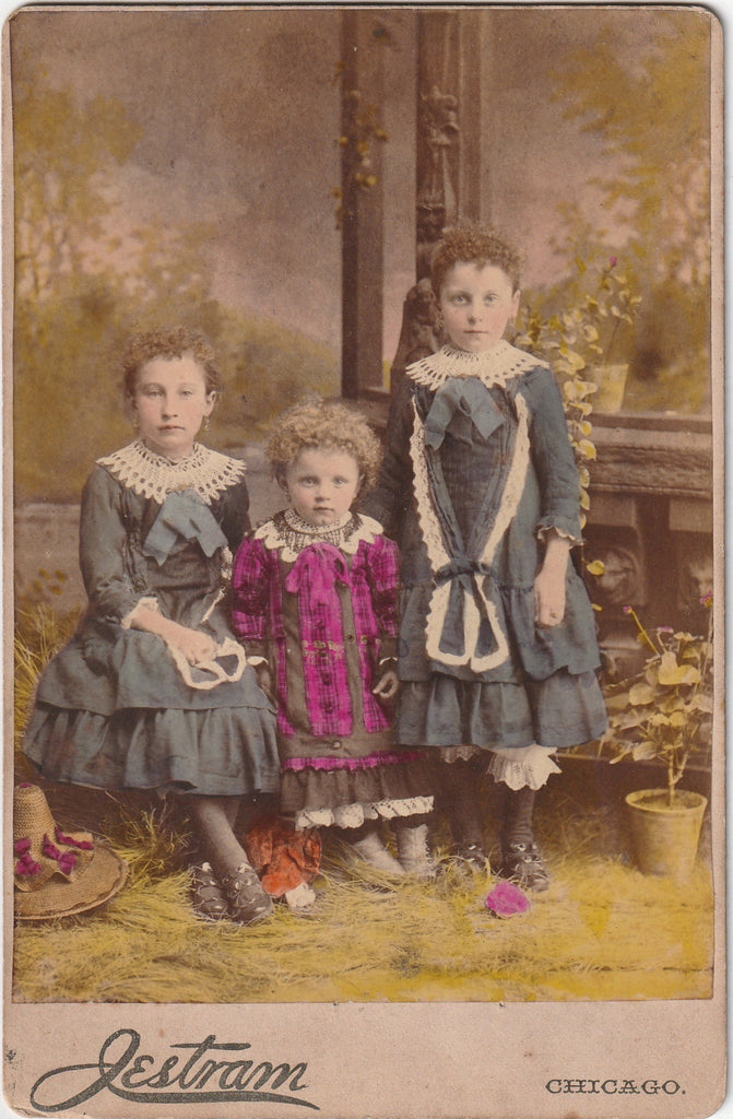 Victorian Sisters - Jestram - Chicago, IL -Hand Tinted - Cabinet Photo, c. 1800s