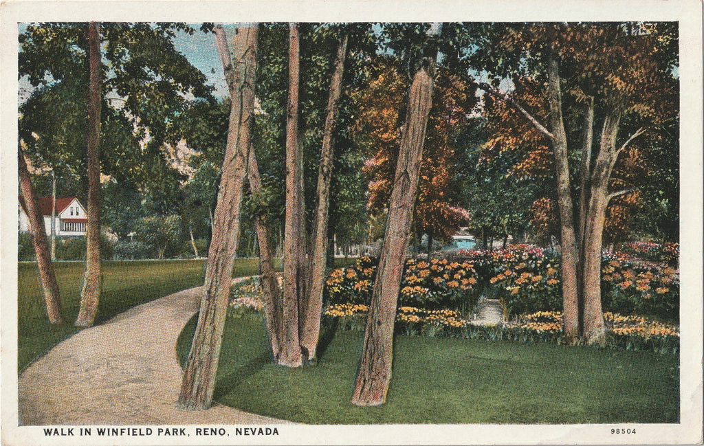 Walk in Winfield Park Reno Nevada Postcard