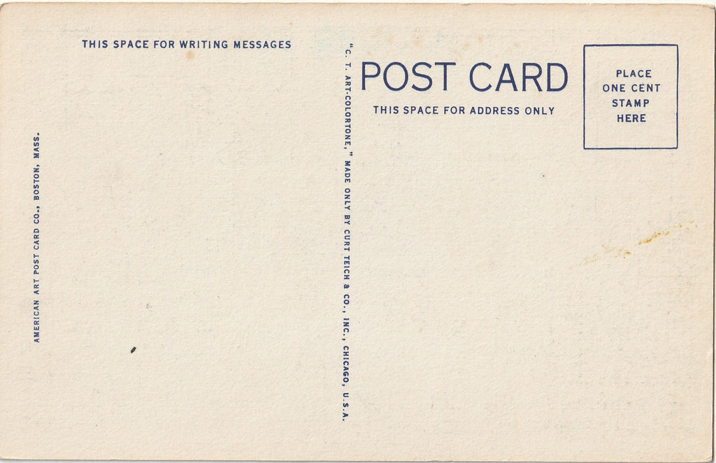 White Birch Trees - White Mountains, NH - Postcard, c. 1940s Back