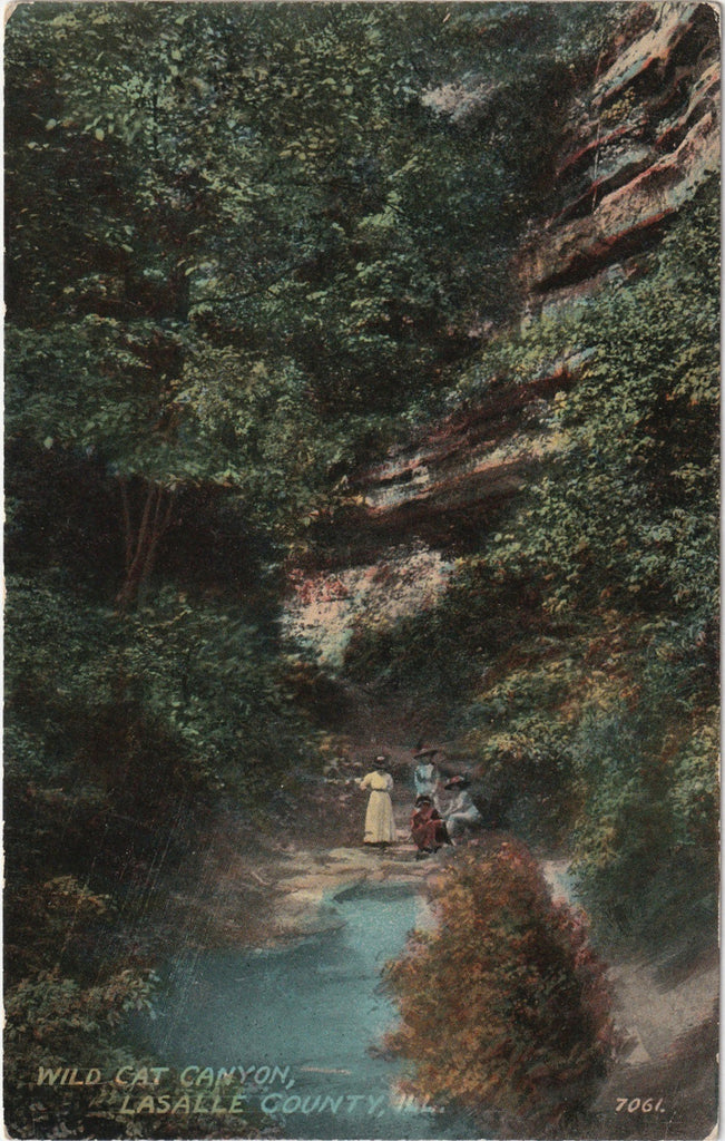 Wild Cat Canyon Starved Rock Illinois Antique Postcard