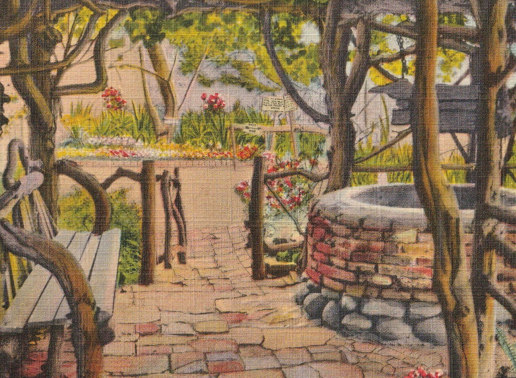 Wishing Well Ramona's Marriage Place San Diego CA Vintage Postcard Close Up