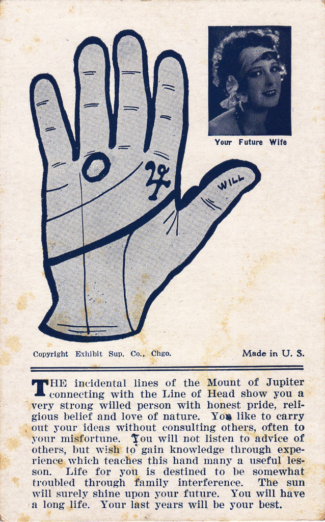 Your Future Wife Palmistry Arcade Card