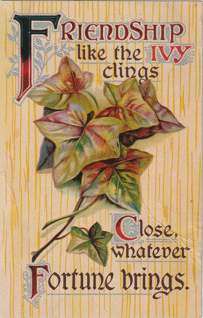 Friendship Like The Ivy Clings Antique Postcard