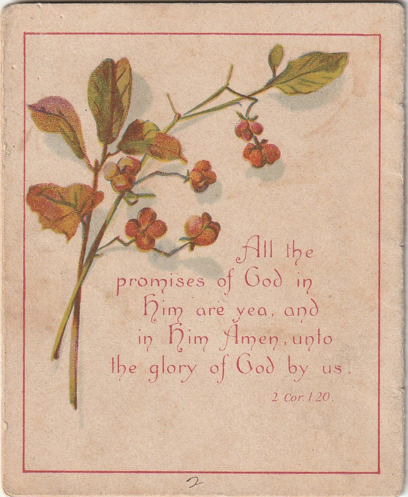 Rainbows - Flowers and Scripture - Victorian Lithograph - Booklet, c. 1800s - Back Cover