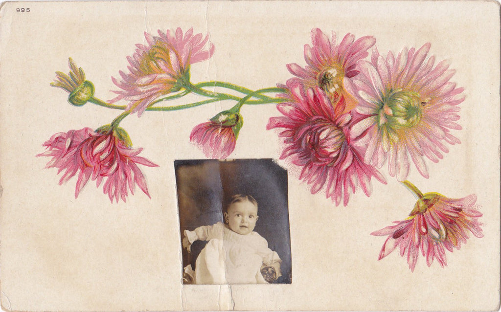 Pink Chrysanthemums- 1910s Antique Postcard- Gem Photo- Baby Picture- Altered Postcard- Edwardian Decor- Accidental Art- Embossed