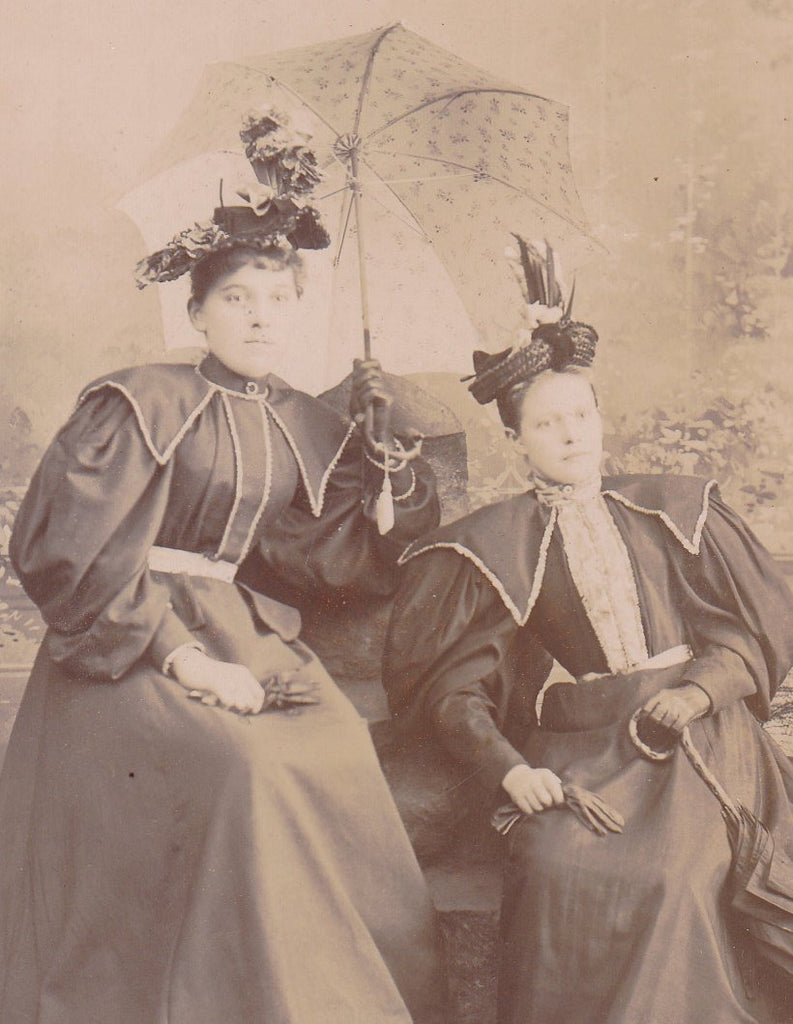 Rain or Shine- 1800s Antique Photograph- Victorian Women- Open Umbrella- Parasol- F J Weber- Erie, PA- Cabinet Photo- Paper Ephemera