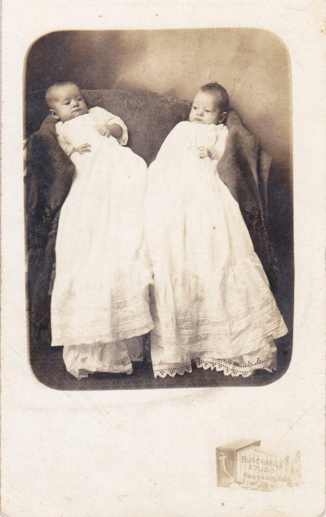 Infant Twins- 1900s Antique Photograph- Edwardian Babies- Identical Twins- Real Photo Postcard- RPPC- Monroeville, IN