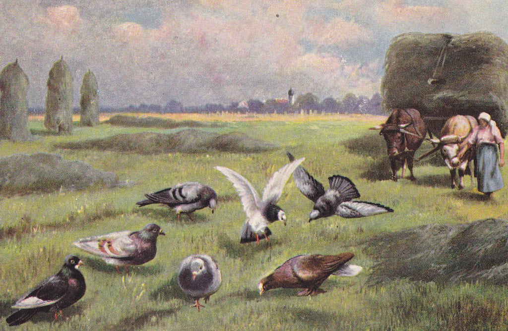 Monster Pigeons- 1900s Antique Postcard- Strange Perspective- Giant Birds- Weird- Strange- German American Novelty Art- Unused