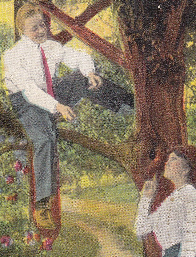 Art nouveau 1901 romantic lovers tree heart love declaration by K