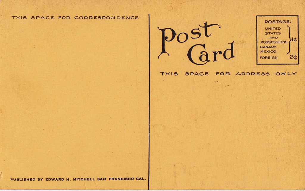 The Pike and Pleasure Pier- 1910s Antique Postcard- Long Beach, California- Edward H Mitchell- Sepia View Souvenir