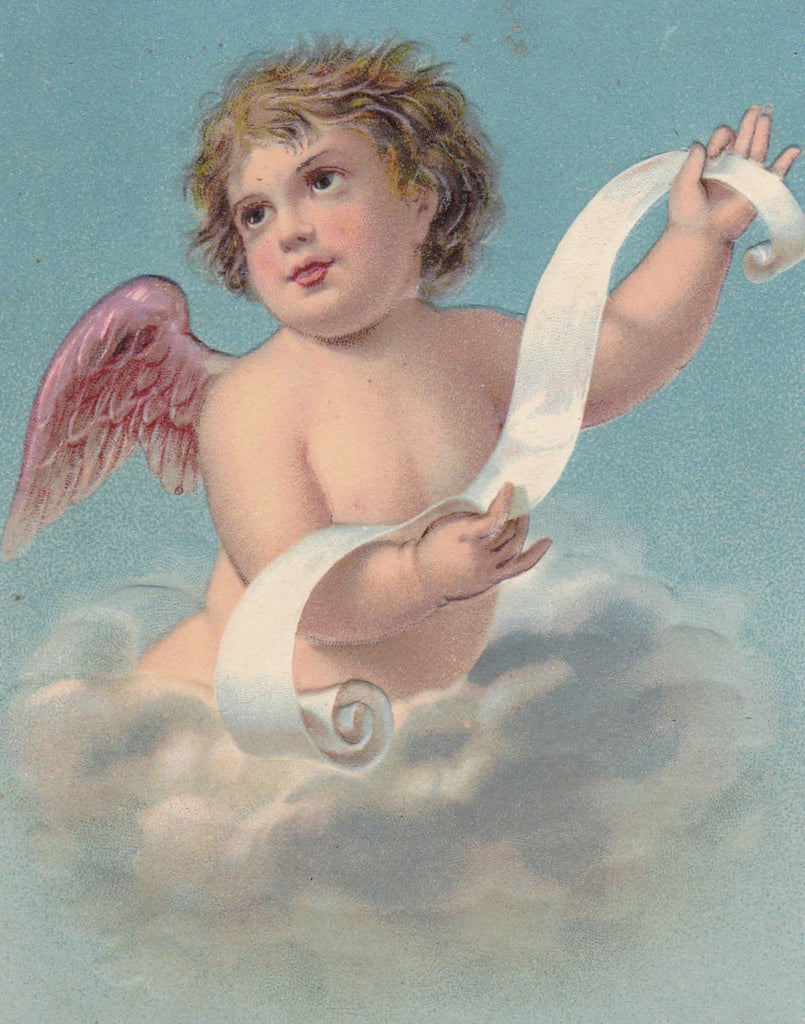 T.P. Cherub- 1900s Antique Postcard- Angel Wings- Blue Sky White Clouds- Message Scroll- Edwardian Fantasy- Embossed- Used