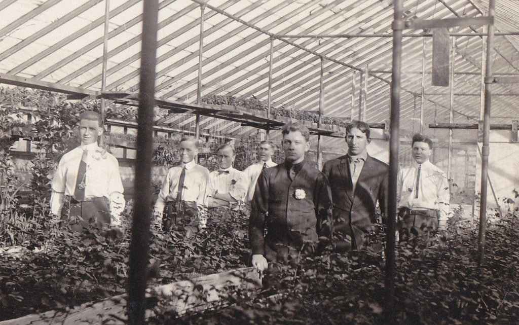 Digital Copy of Hothouse Dandies- 1900s Antique Photograph- Edwardian Greenhouse- Plant Nursery- Found Photo- AZO RPPC- Real Photo Postcard
