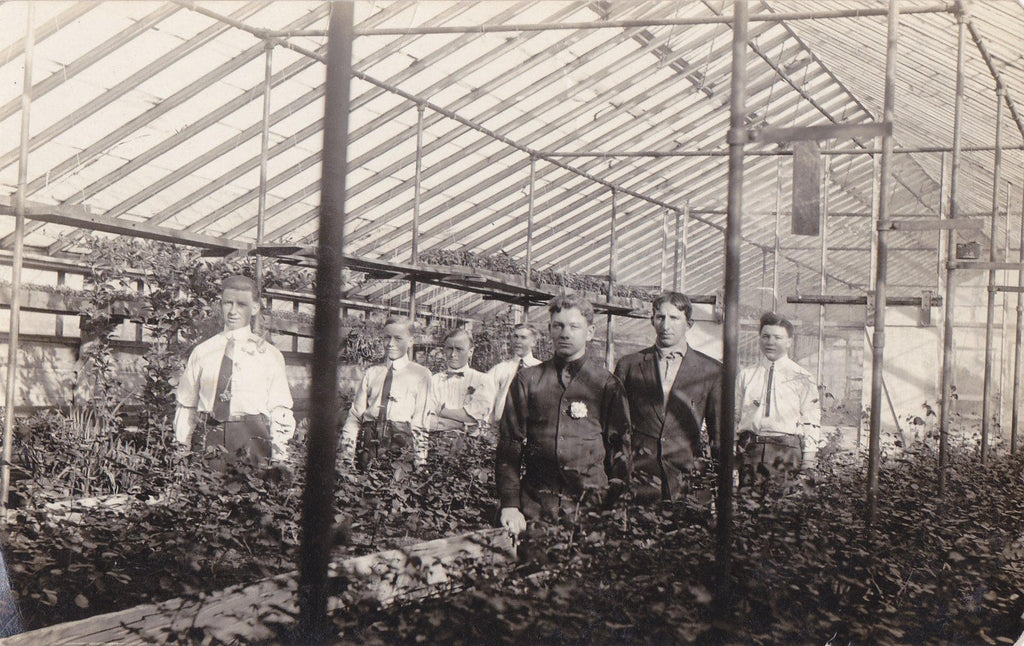 Digital Copy of Hothouse Dandies- 1900s Antique Photograph- Edwardian Greenhouse- Plant Nursery- Found Photo- AZO RPPC- Real Photo Postcard
