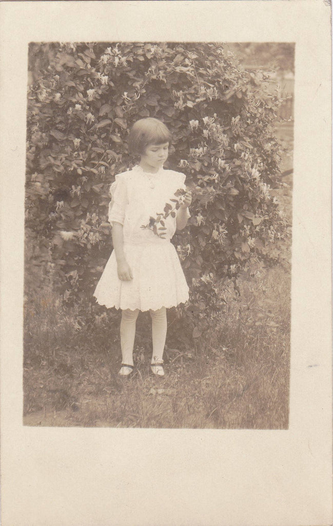 Your Little Friend Elma- 1910s Antique Photograph- Honeysuckle- Edwardian Child- Found Photo- AZO RPPC- Real Photo Postcard