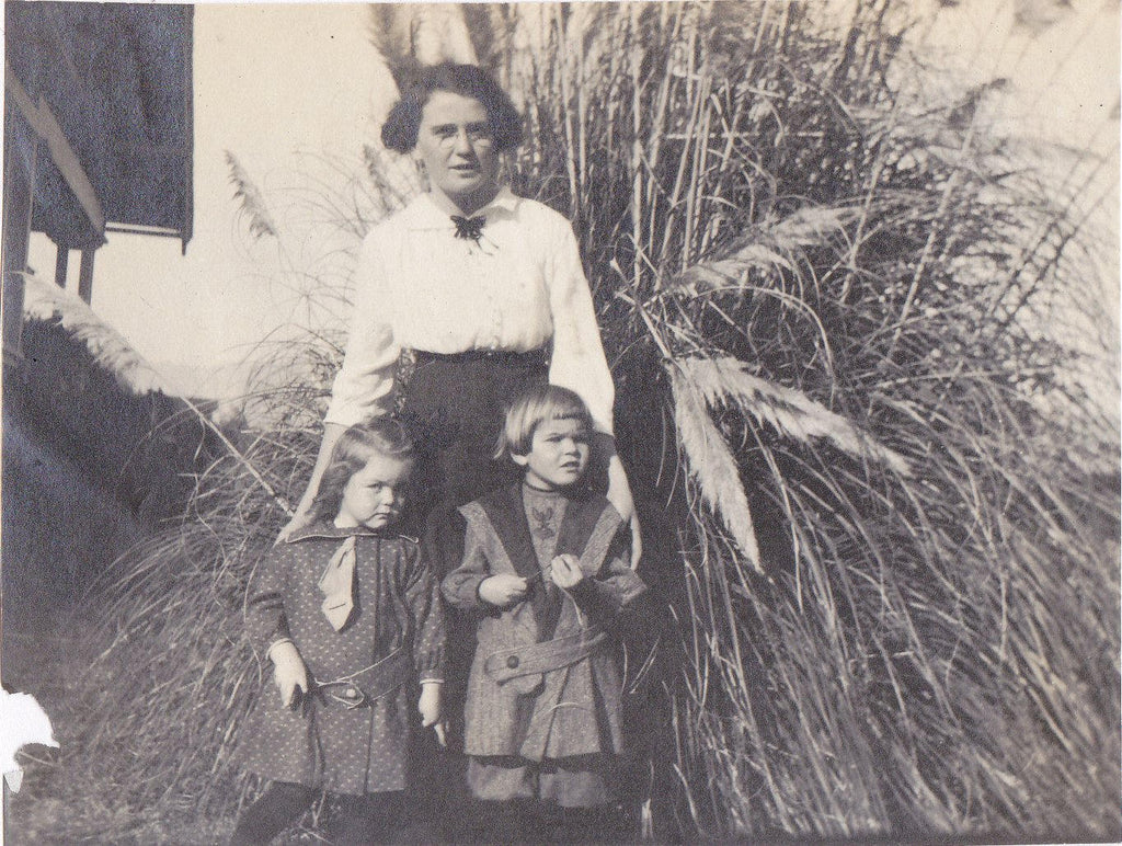 Edwardian Family Snapshots- 1910s Antique Photographs- SET of 3- Tabby Cat- Fountain Grass- Ornamental Tall Grass- Found Photos- Vernacular