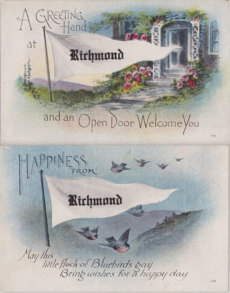 Happiness from Richmond- 1900s Antique Postcards- SET of 2- Richmond, VA- Blue Birds- Pennant Flag- Virginia Souvenir- Unused