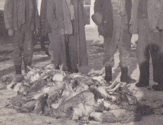 Jackrabbit Drive- 1910s Antique Photograph- Rabbit Hunting Party- Edwardian Hunter- Found Photo- Vernacular Snapshot