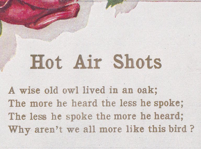 Wise Old Owl- 1910s Antique Postcard- Hot Air Shots- Edwardian Flowers- Roses- Motto Poem Quote- E R Bauer- Unused