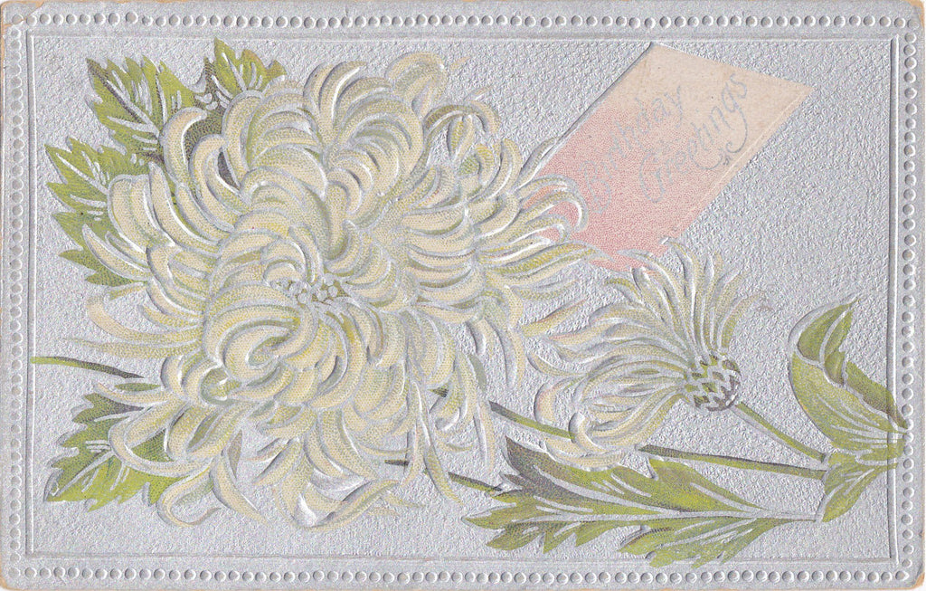 Silver Birthdays- 1900s Antique Postcards- SET of 3- Edwardian Flowers- Floral Birthday Cards- Chrysanthemum- Used