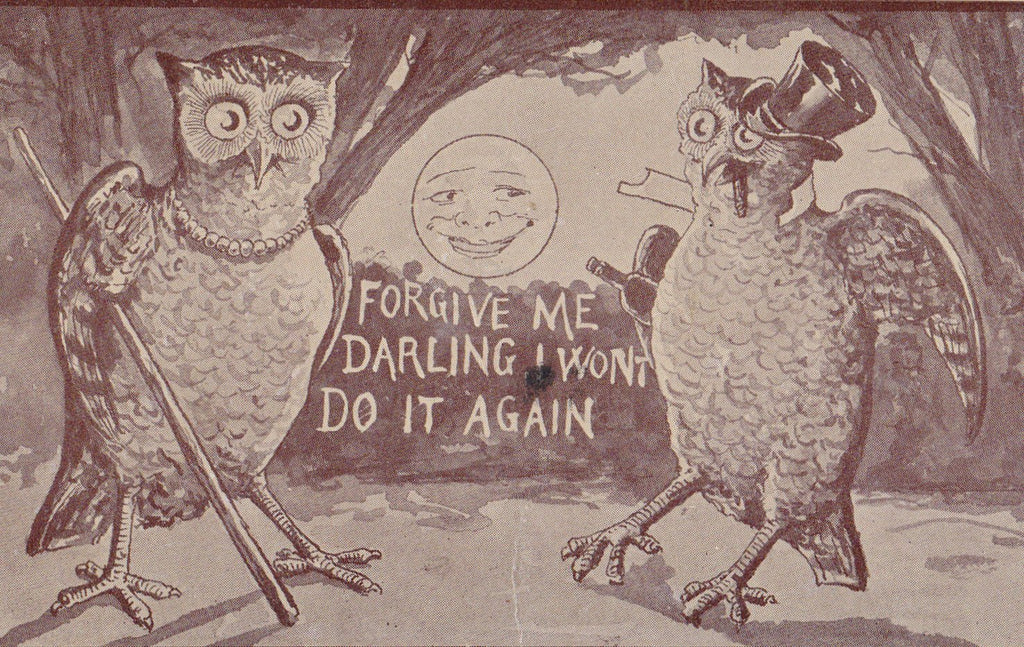 Forgive Me Darling- 1910s Antique Postcard- Night Owl- I Won't Do It Again- Edwardian Humor- Art Comic- Anthropomorphic- Used