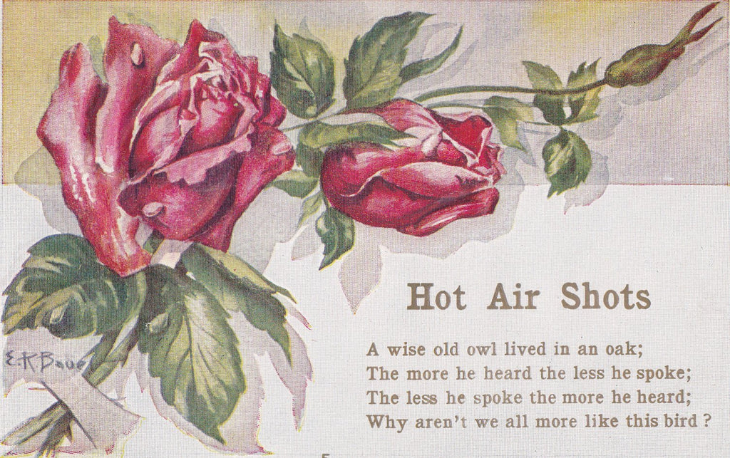 Wise Old Owl- 1910s Antique Postcard- Hot Air Shots- Edwardian Flowers- Roses- Motto Poem Quote- E R Bauer- Unused