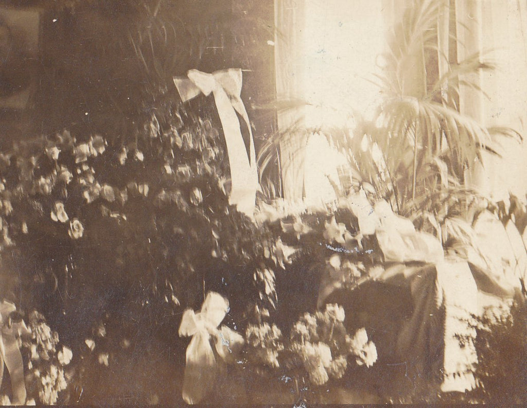 At Rest- 1910s Antique Photograph- Funeral Flowers- Mourning Ephemera- Haunting- Found Photo- AZO RPPC- Real Photo Postcard